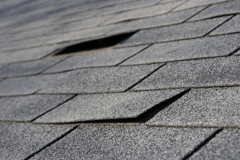 Shingle Damage Repair