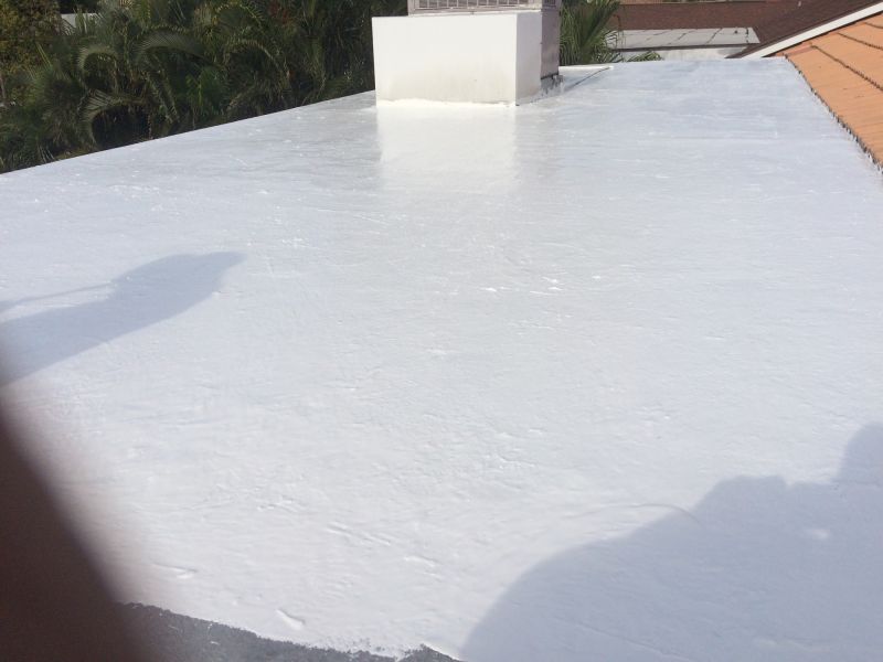 Roof Patching Service